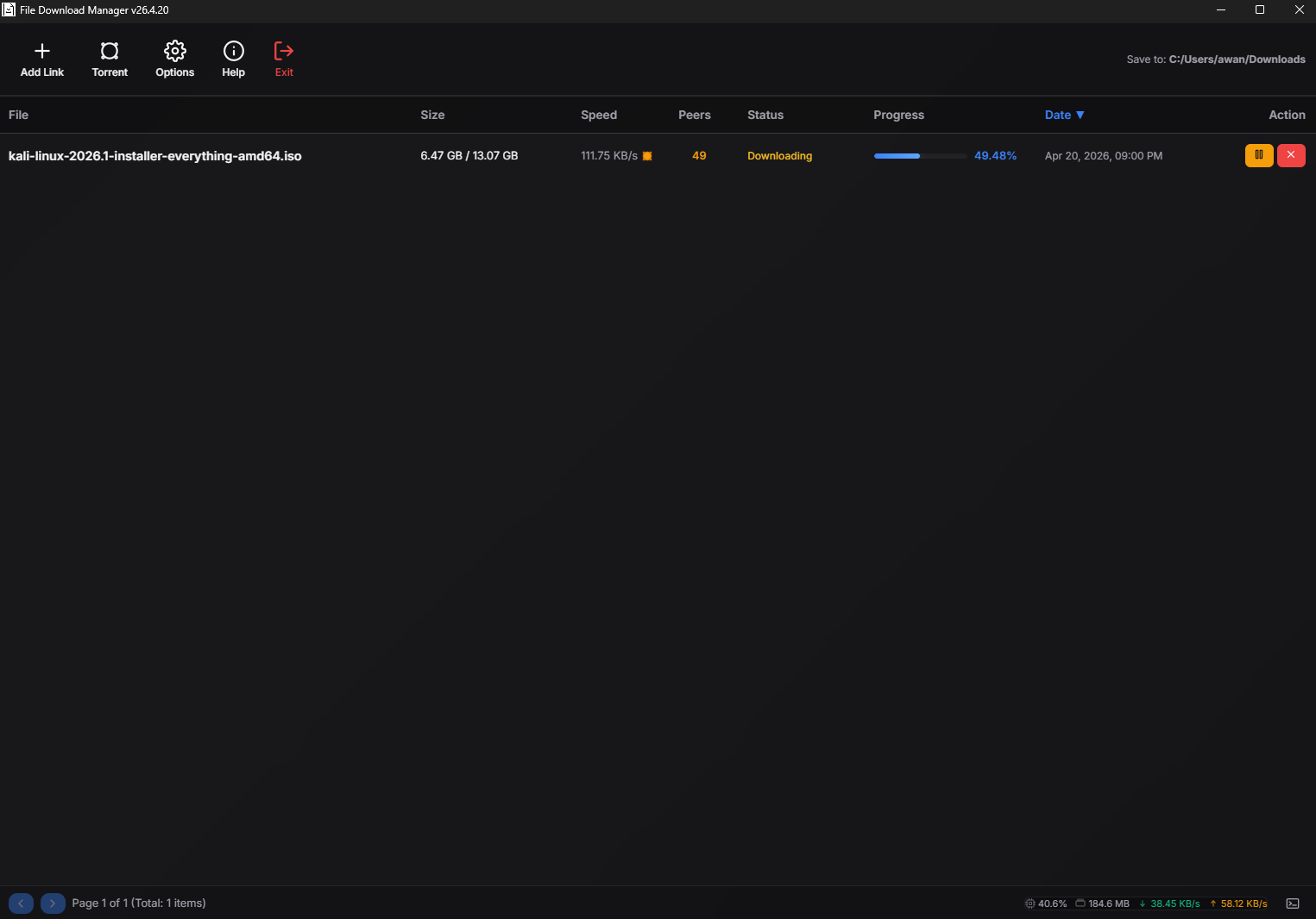 File Download Manager Application Interface